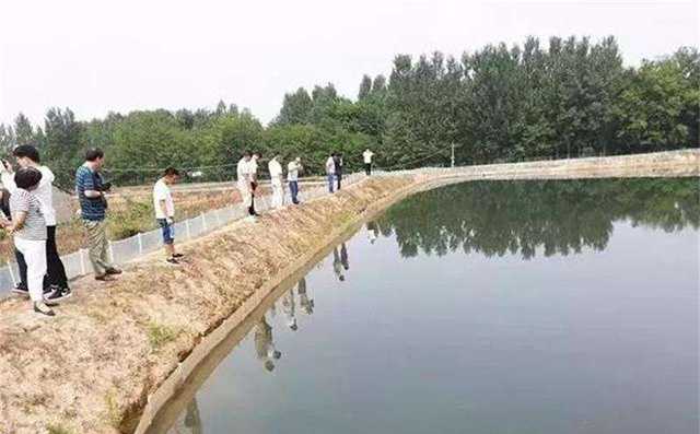 挖好的小龙虾池塘图片