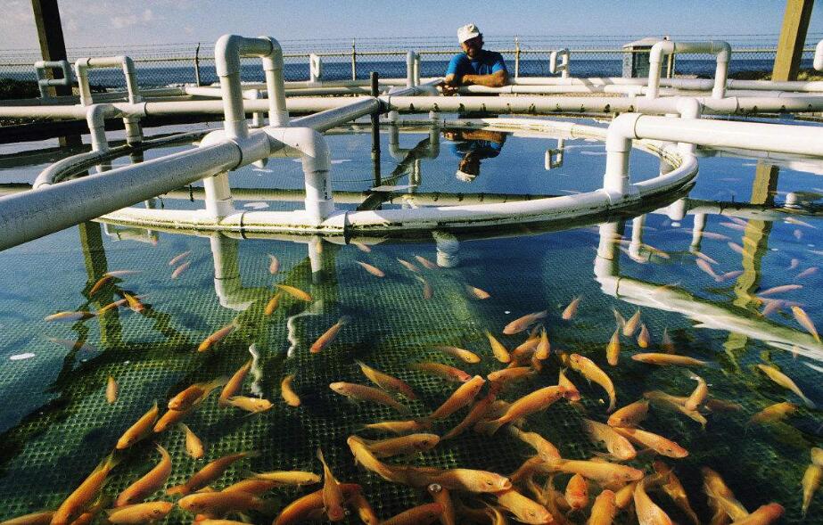 农村的暴利行业，你了解多少？