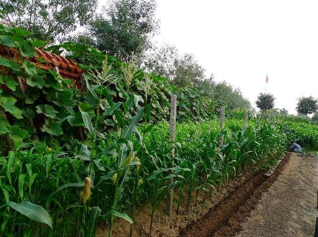 2019做什么生意有前景，看完赶紧转行