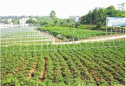 2019做什么生意有前景，看完赶紧转行