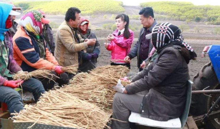 在农村做什么能致富？告诉你农村致富的秘密