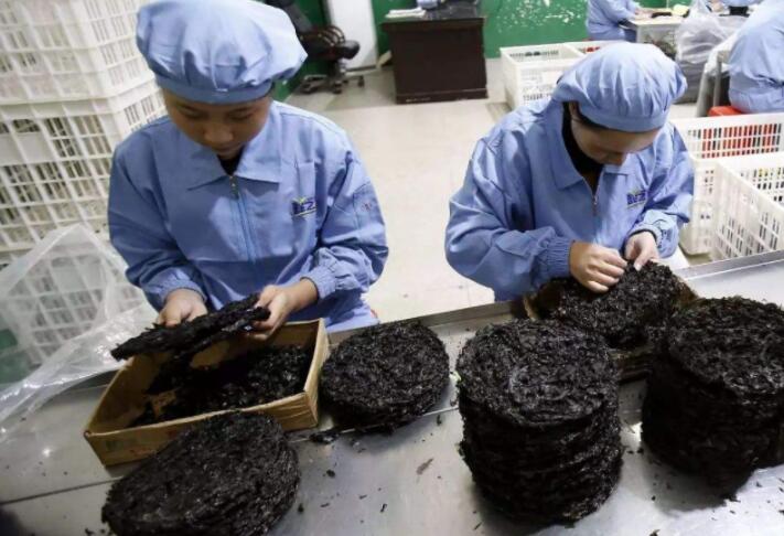 农村创业开店有什么补贴？农村创业开店项目分享