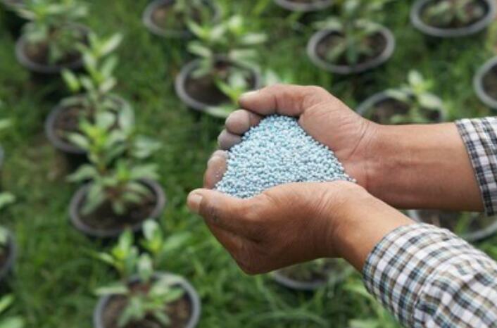 农村创业开店有什么补贴？农村创业开店项目分享