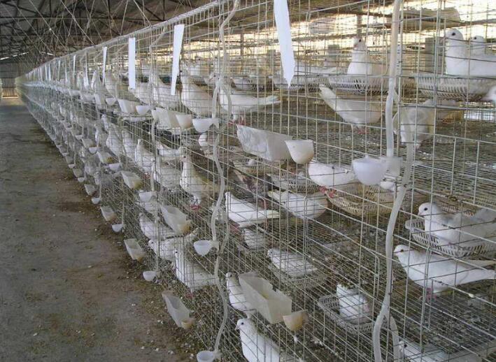 回家创业有什么好项目投资推荐吗？