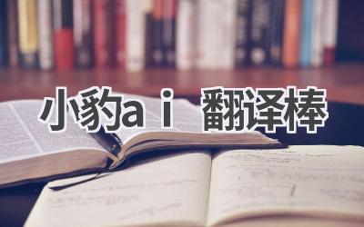 小豹AI翻译棒评测:实时翻译,沟通无障碍